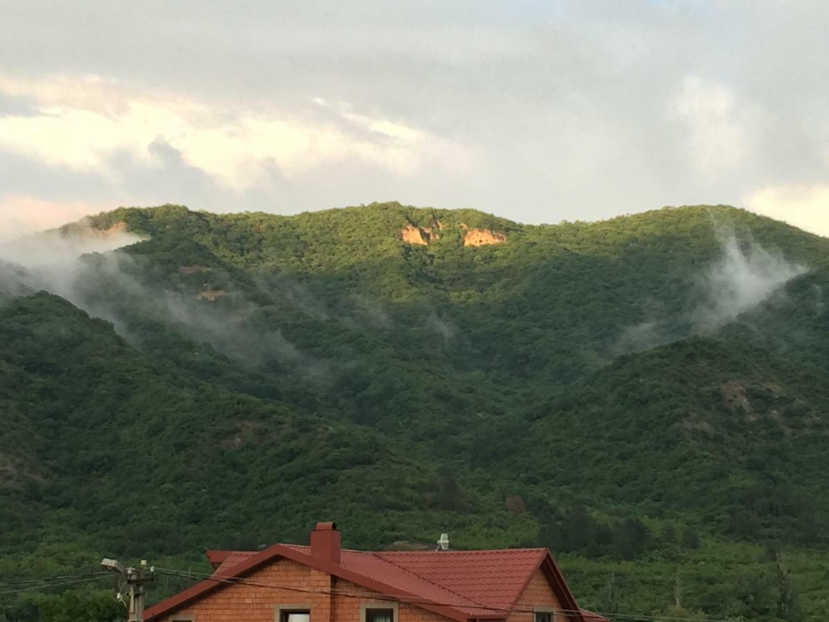 Aragvi Valley Villa Tsitelsopeli Exterior foto